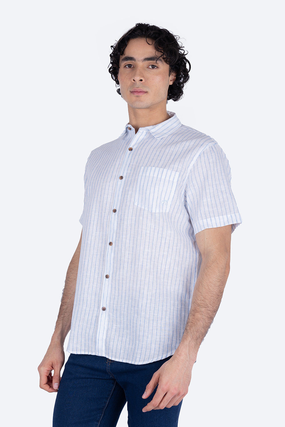 Camisa manga corta rayada azul claro - Hang Ten – Hang Ten México