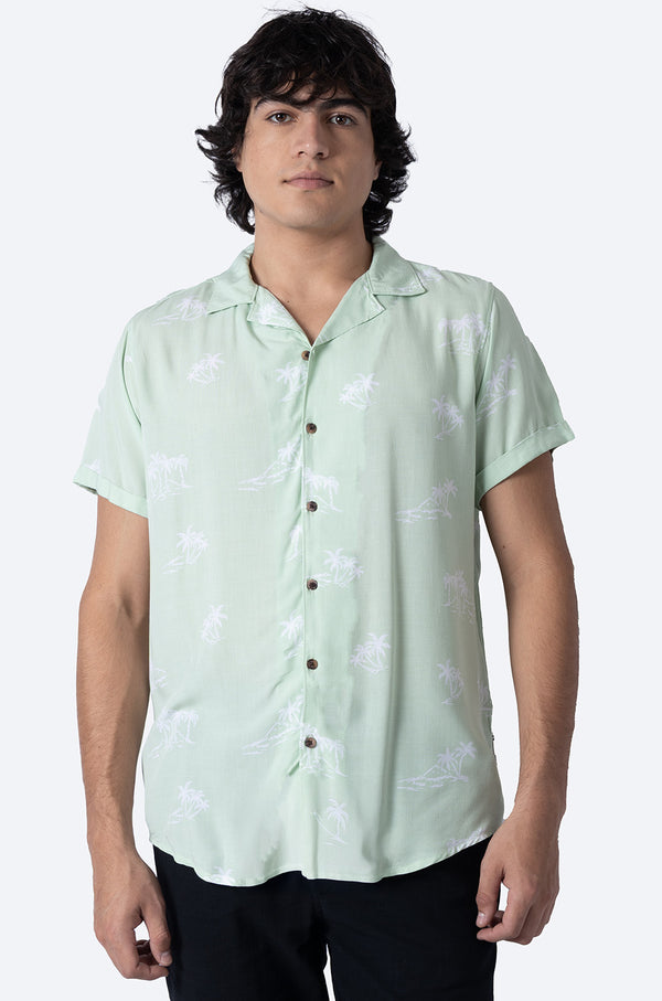 Camisa manga corta verde con diseño de palmeras - Hang Ten
