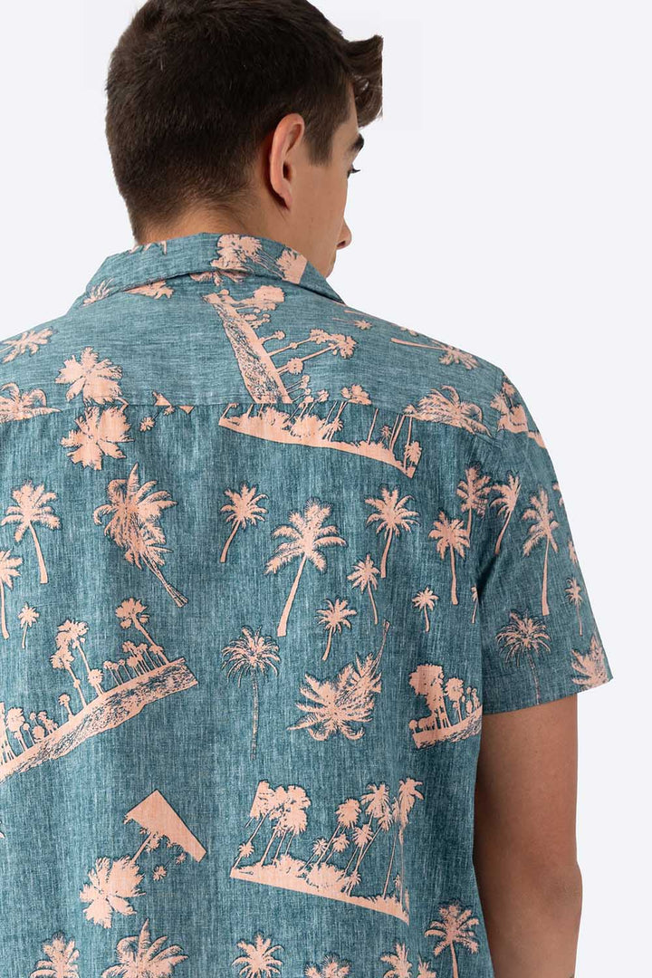 Camisa verde estampado palmeras - Hang Ten