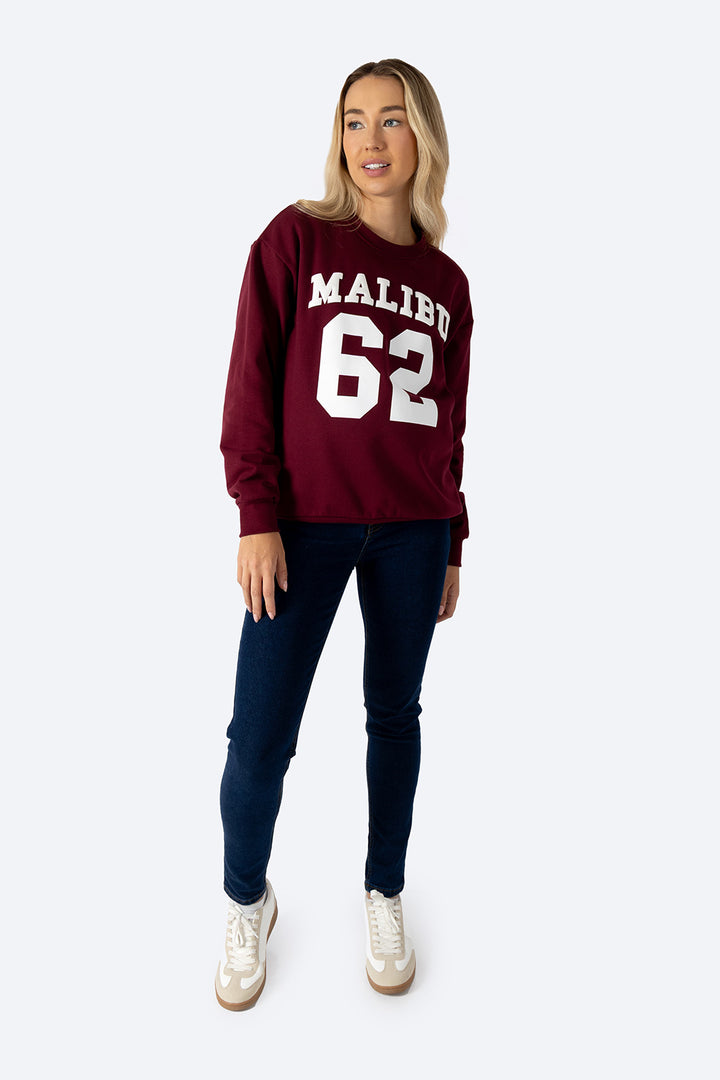 Sudadera cerrada vino MALIBU 62 - Hang Ten