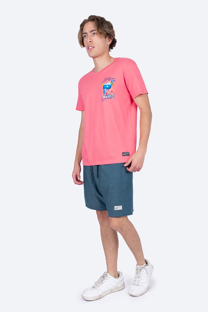 Playera coral manga corta mini estampado HT - Hang Ten 